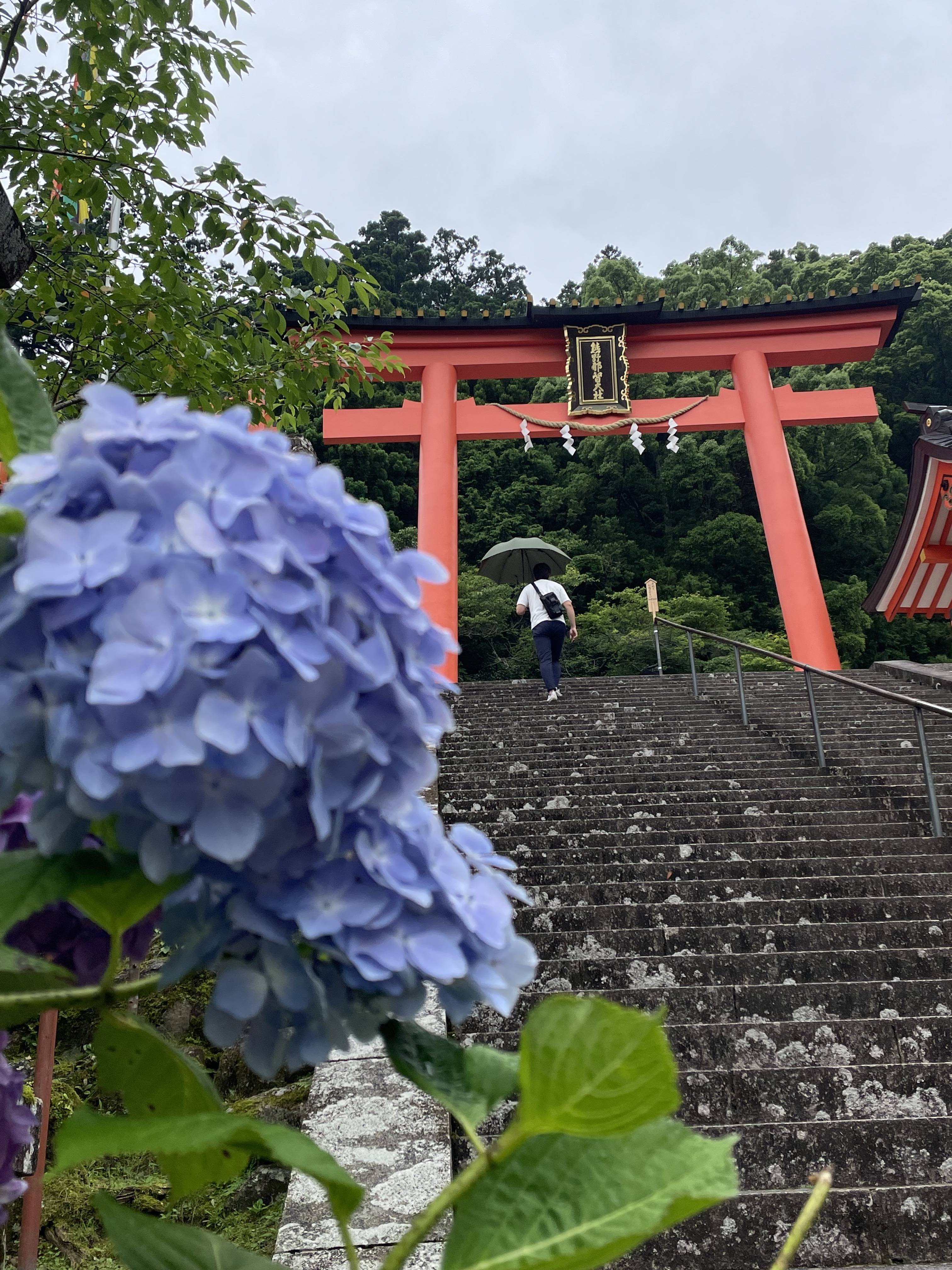 雨の日もいいですね 東名住建 守山のブログ 写真1