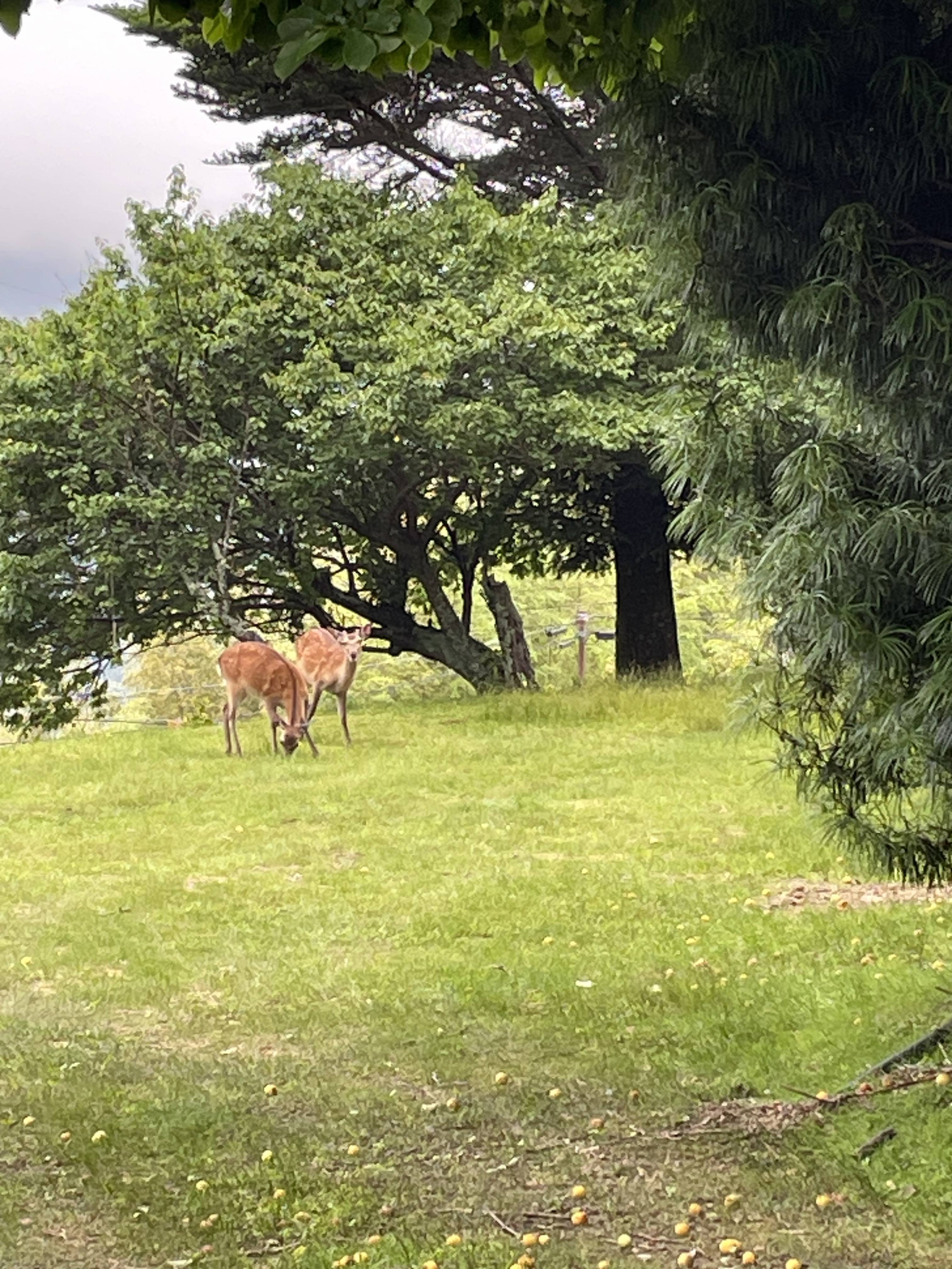 雨の日もいいですね 東名住建 守山のブログ 写真4