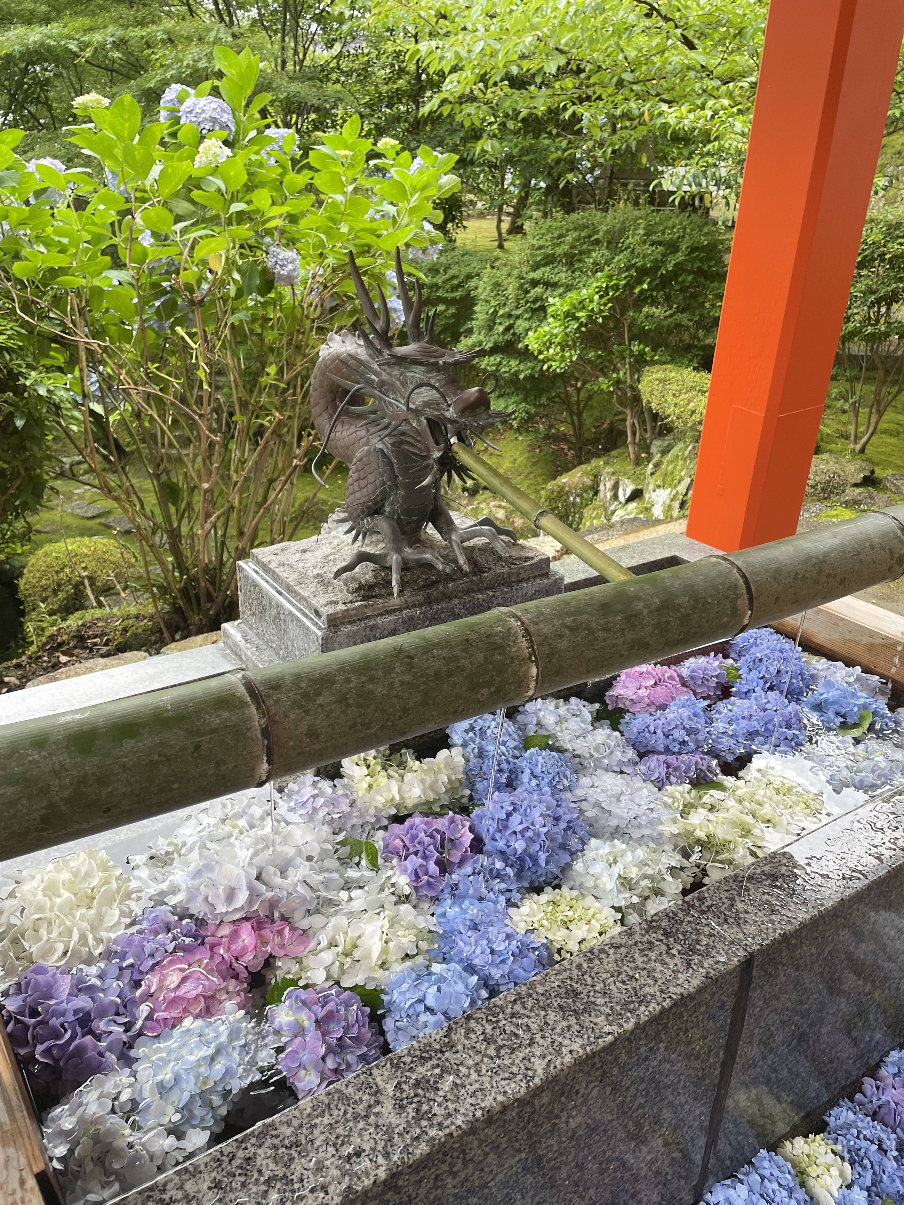 雨の日もいいですね 東名住建 守山のブログ 写真2