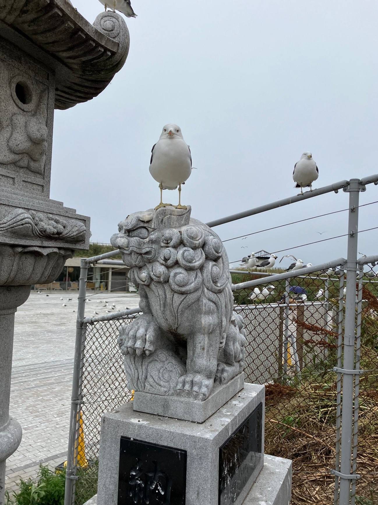 AKBT土崎港店【神社⛩参拝ブログ】 AKBT 土崎港店のブログ 写真4