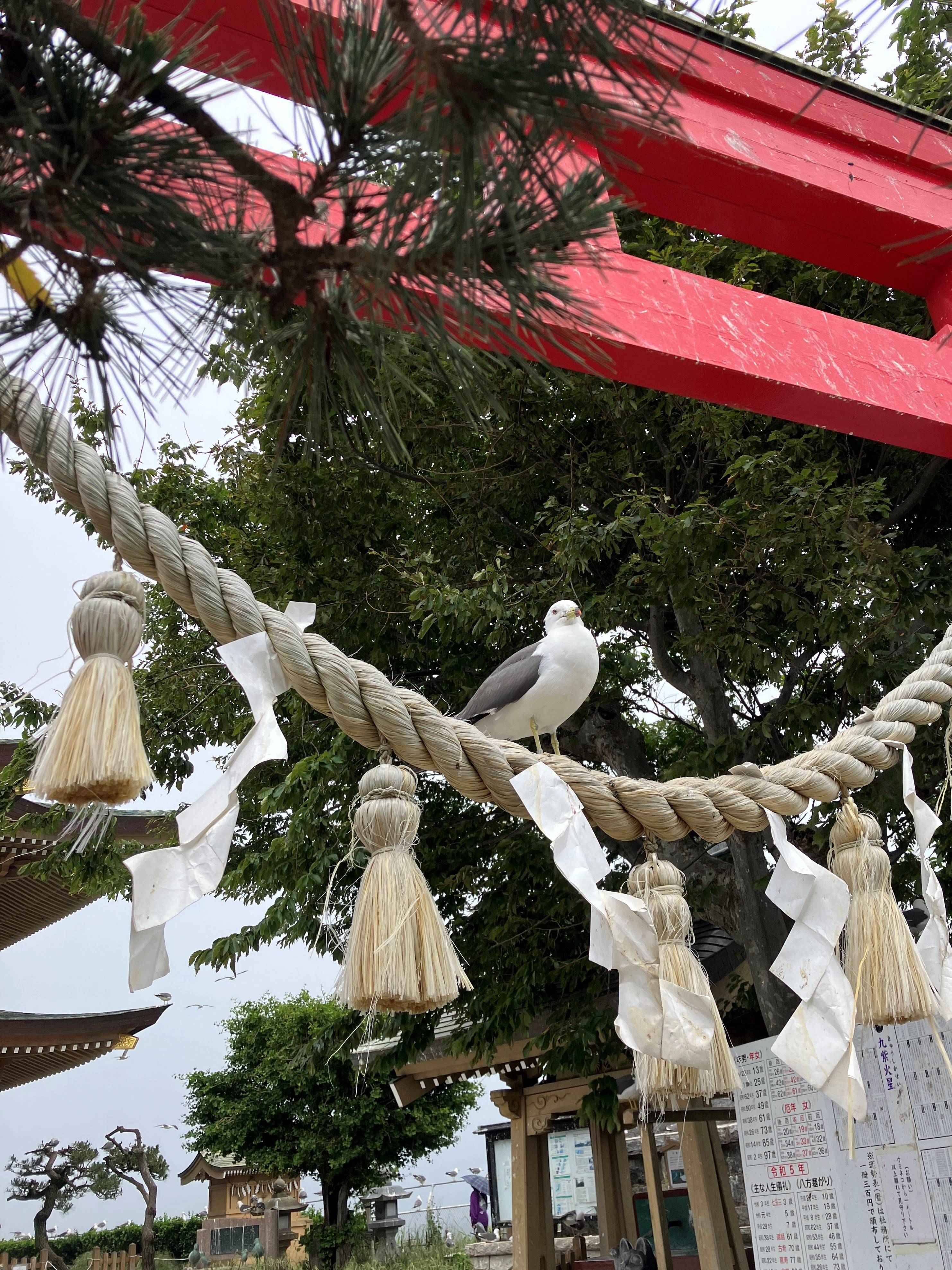 AKBT土崎港店【神社⛩参拝ブログ】 AKBT 土崎港店のブログ 写真5