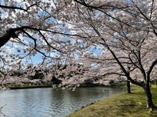 🌸桜🌸 AKBT 土崎港店のブログ 写真1