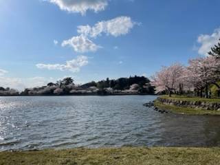 🌸桜🌸 AKBT 土崎港店のブログ 写真4