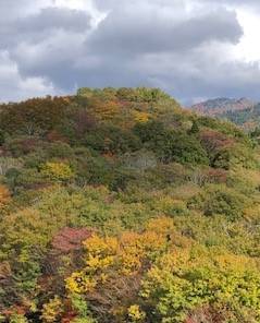 🍂紅葉狩り🍁 AKBT 土崎港店のブログ 写真6