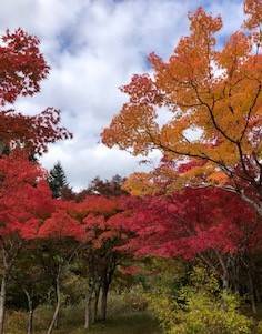 🍂紅葉狩り🍁 AKBT 土崎港店のブログ 写真4