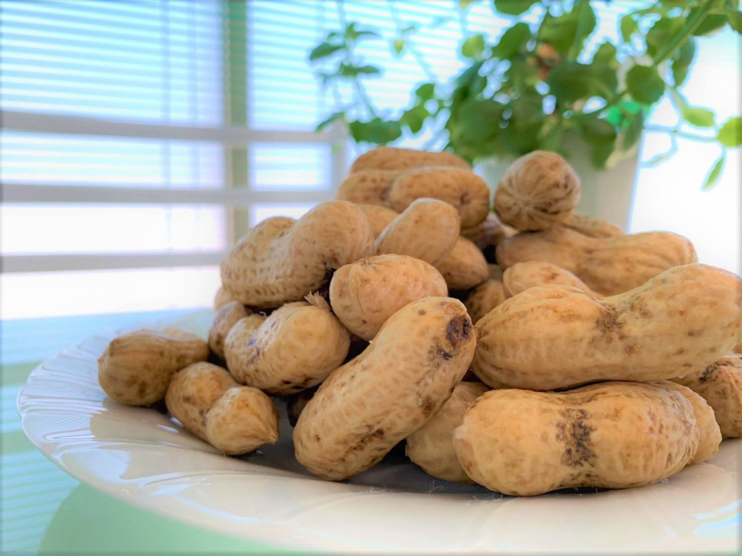 塩ゆで落花生🥜いただきました😍 大木建装硝子のブログ 写真1