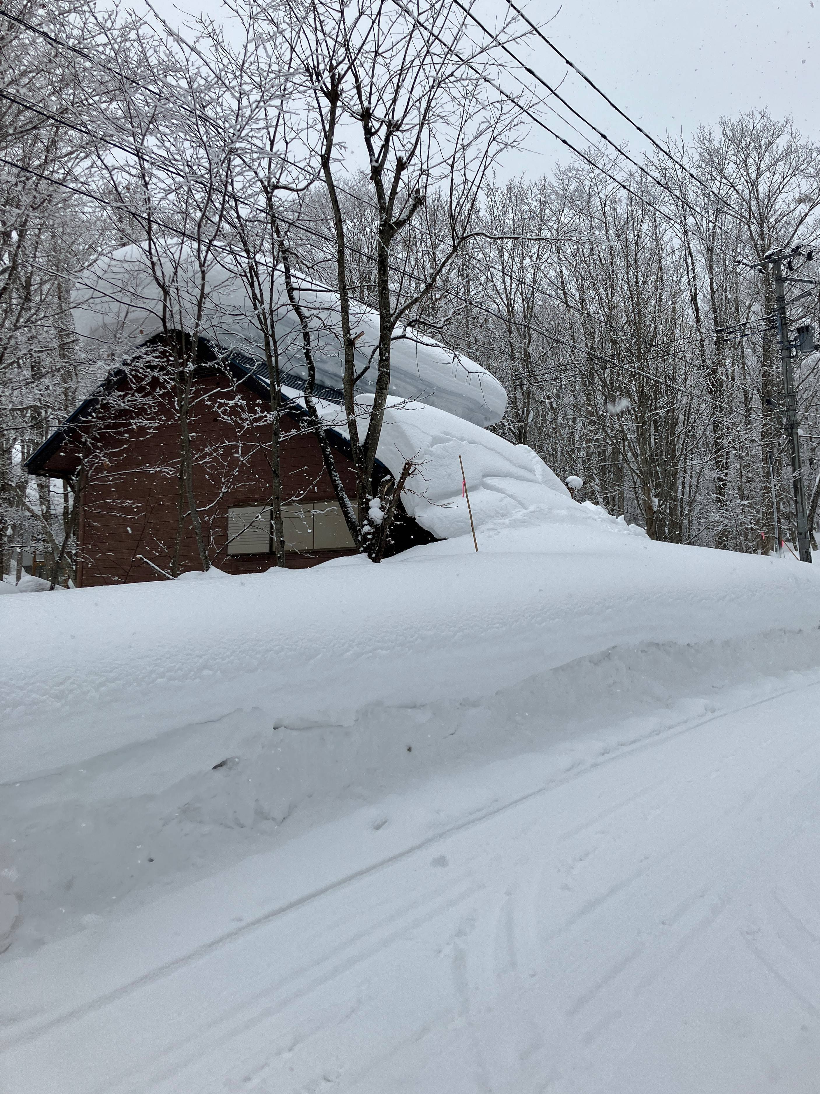 雪崩😲 AKBT 土崎港店のブログ 写真2