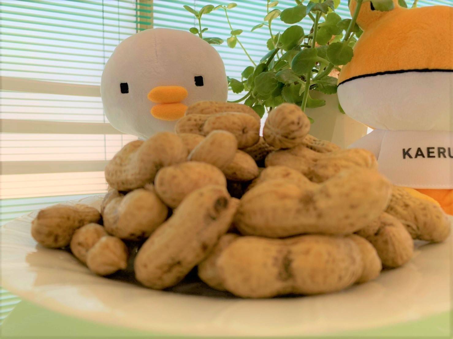 塩ゆで落花生🥜いただきました😍 大木建装硝子のブログ 写真2