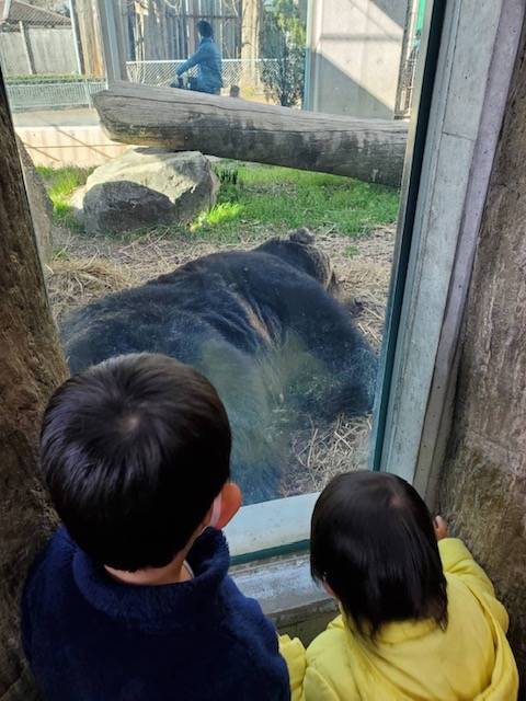 東武動物公園へ行ってきました 西幸のブログ 写真1