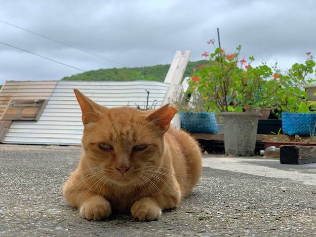 7月15日（土） 花光リフォームのブログ 写真1