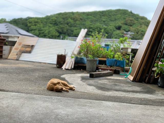 7月15日（土） 花光リフォームのブログ 写真2