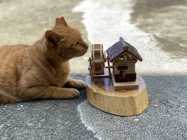 7月21日（金） 花光リフォームのブログ 写真2