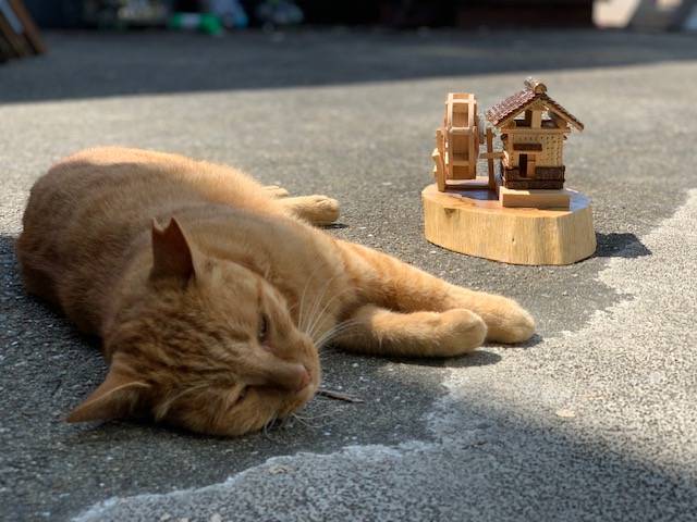 7月21日（金） 花光リフォームのブログ 写真3