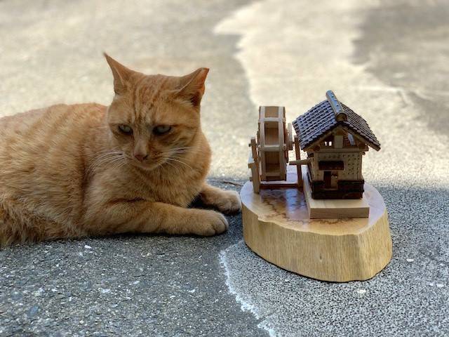 7月21日（金） 花光リフォームのブログ 写真1