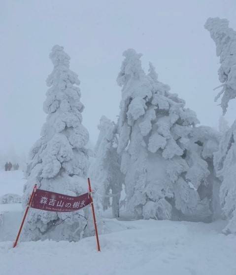 日本三大樹氷🌲❅【森吉山】 AKBT 土崎港店のブログ 写真3