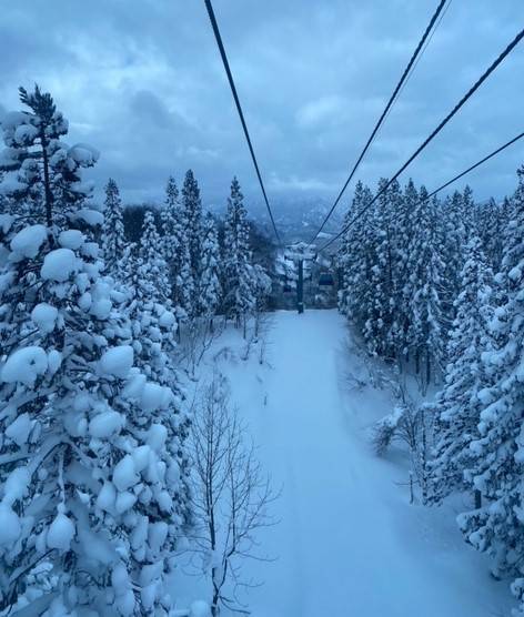 日本三大樹氷🌲❅【森吉山】 AKBT 土崎港店のブログ 写真2