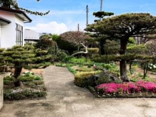 我が家の庭🌸第二弾🌺🌼 AKBT 土崎港店のブログ 写真1