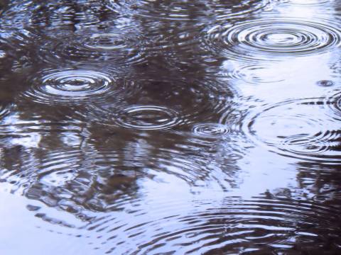 秋の長雨、どうして起きるの？ REGALO（レガロ）のブログ 写真1