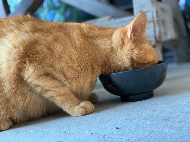 7月18日（火） 花光リフォームのブログ 写真1