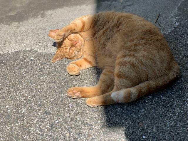 7月25日（火） 花光リフォームのブログ 写真3