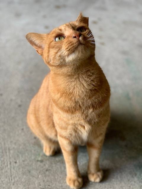 8月9日（水） 花光リフォームのブログ 写真1