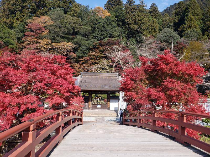 🍁旅行🍁 カワサキトーヨー住器 那須那珂川のブログ 写真1