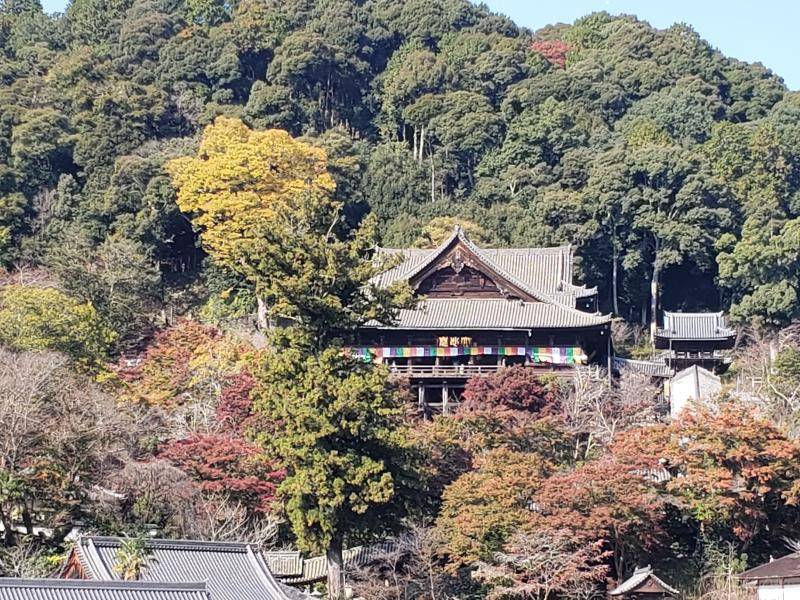 🍁旅行🍁 カワサキトーヨー住器 那須那珂川のブログ 写真2