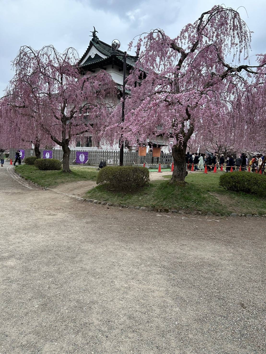 🌸さくらまつり🌸 AKBT 土崎港店のブログ 写真1