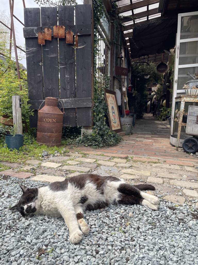 のどかな雰囲気のカフェに行ってきました。 トラス軽金属販売 津島店のブログ 写真2