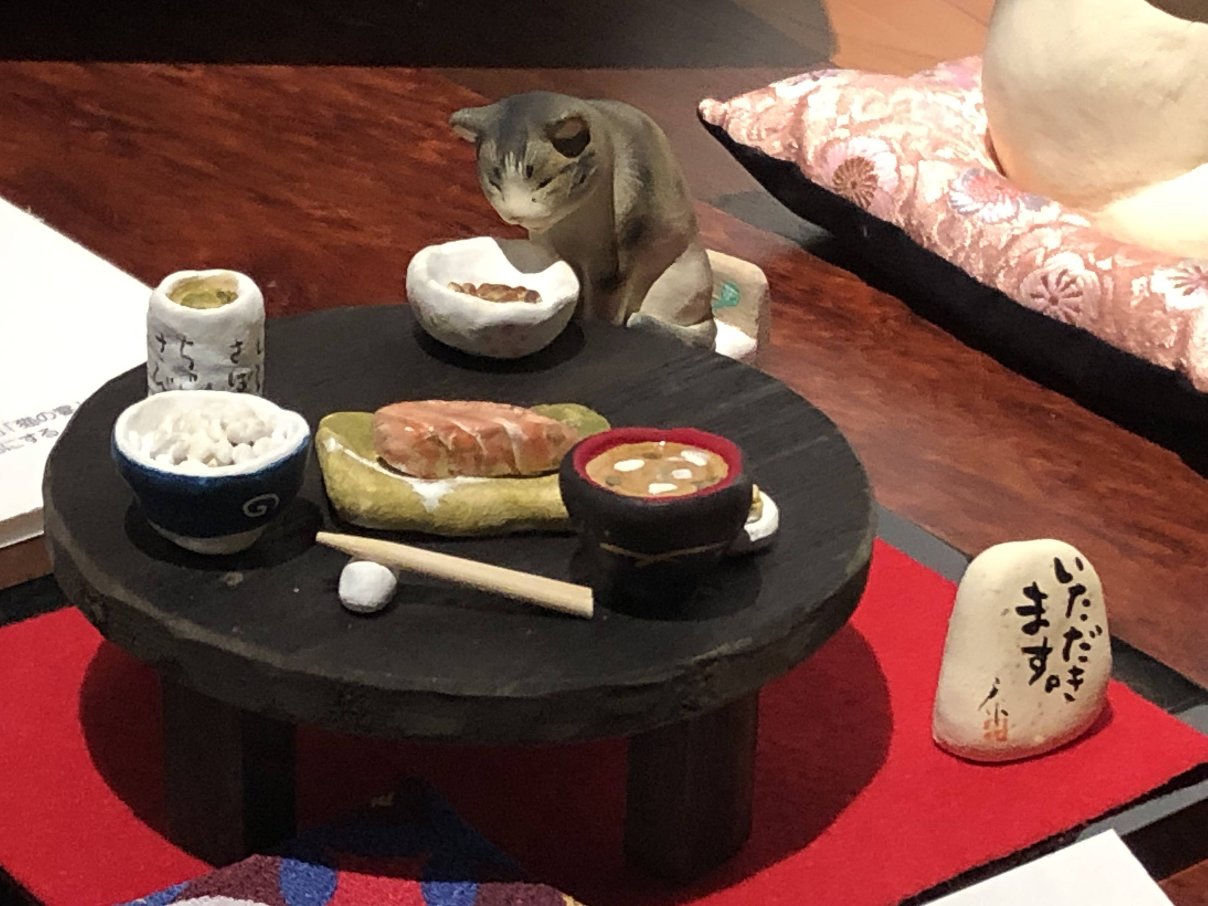 猫店に行きました。😻 FGネクストのブログ 写真1