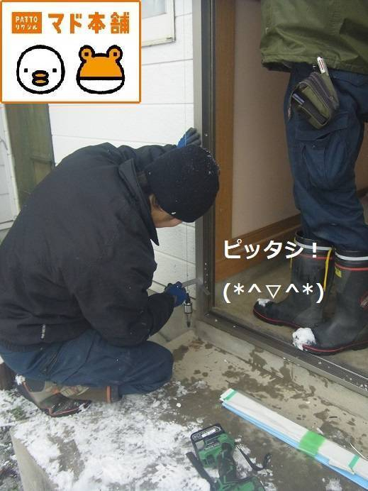 竹原屋本店の★(=^・^=)猫ハウス★模様替えニャン(#^^#)完結編の施工前の写真3