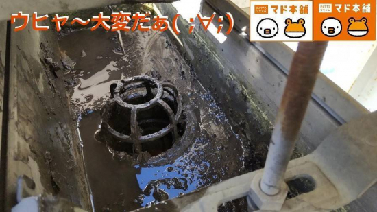 竹原屋本店の＃雨だれの原因👉追跡調査('ω')ノ施工事例写真1