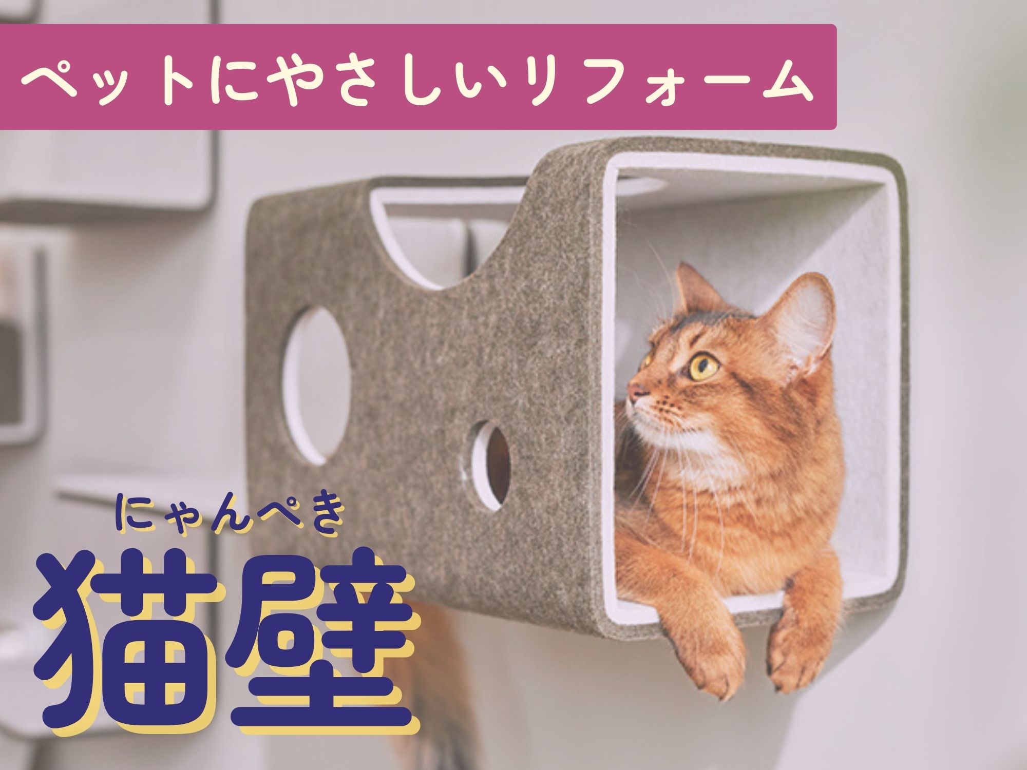 ペットにやさしいリフォーム特集！【猫壁（にゃんぺき）】で毎日をもっと楽しく アルロのブログ 写真1