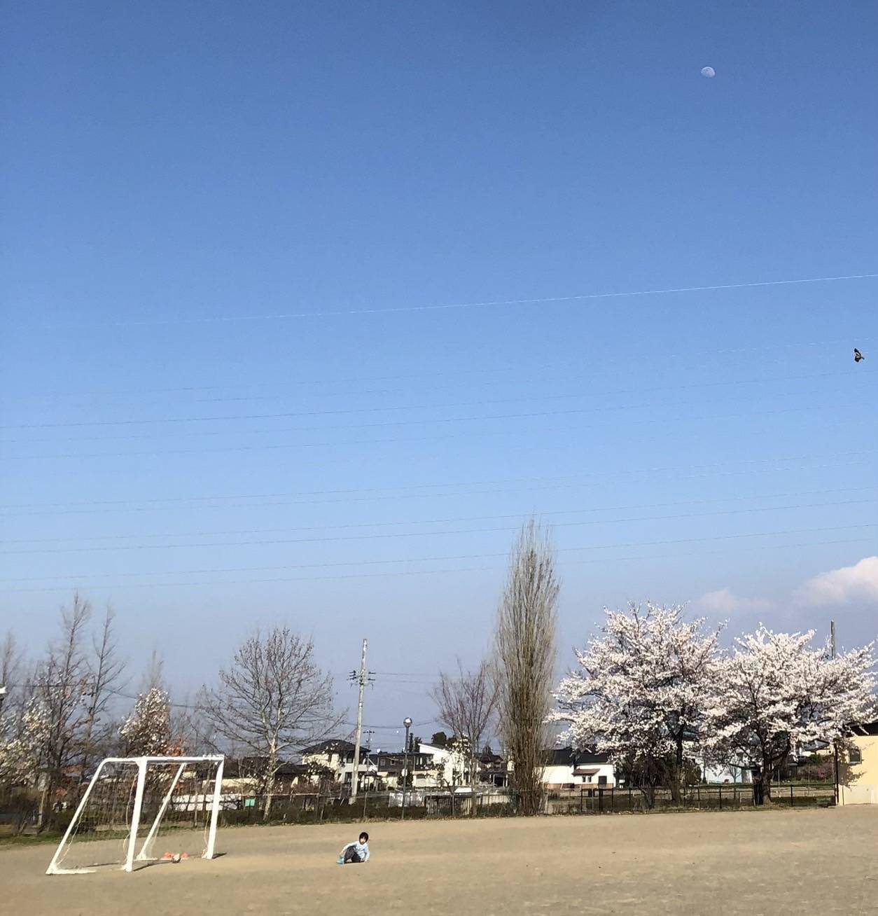 はやしー、補助金をつぶやく。(その２) 更埴トーヨー住器のブログ 写真1