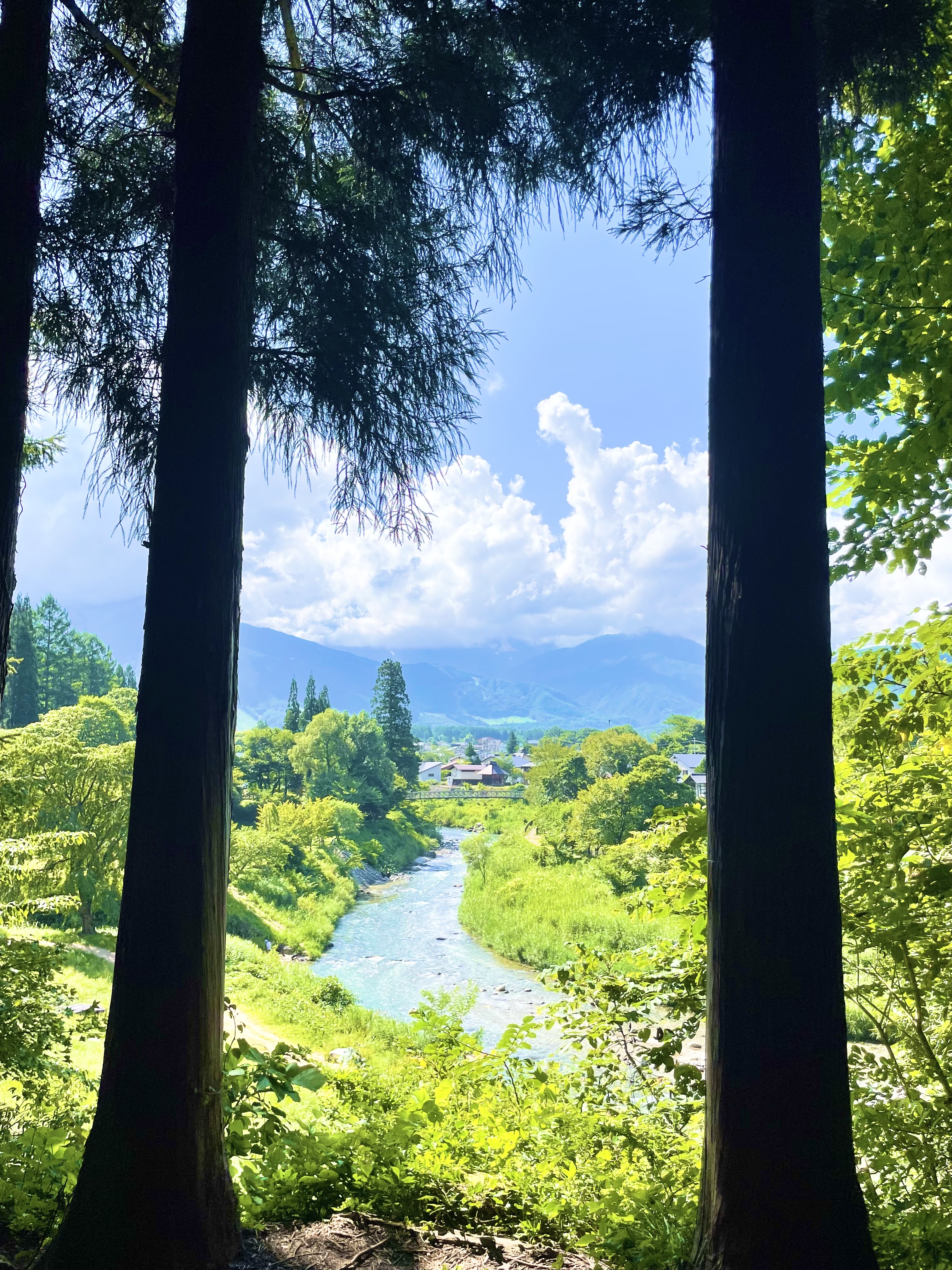 夏休み。長～い休みから短い休みに…(>_<) 更埴トーヨー住器のブログ 写真9