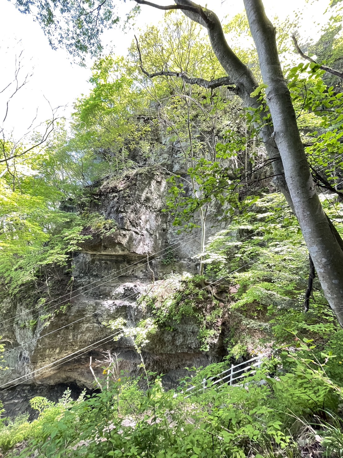 長野の清水寺！？　布引観音・布引山釈尊寺 更埴トーヨー住器のブログ 写真2