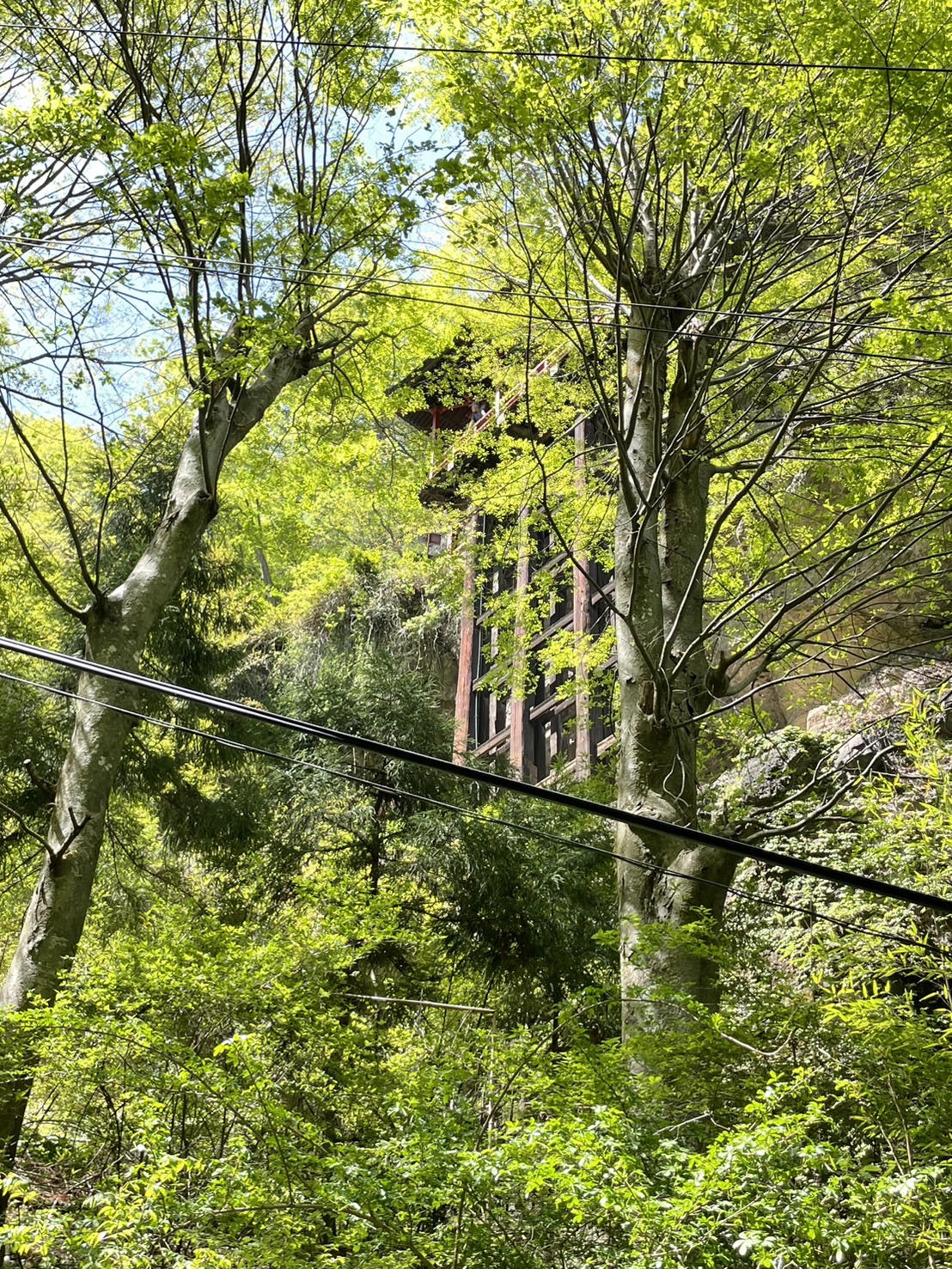 長野の清水寺！？　布引観音・布引山釈尊寺 更埴トーヨー住器のブログ 写真4