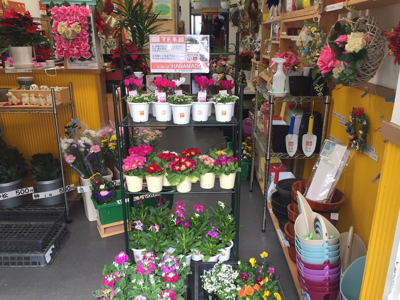 子供会の草花の準備 花と窓の店 HANAMADOのブログ 写真1