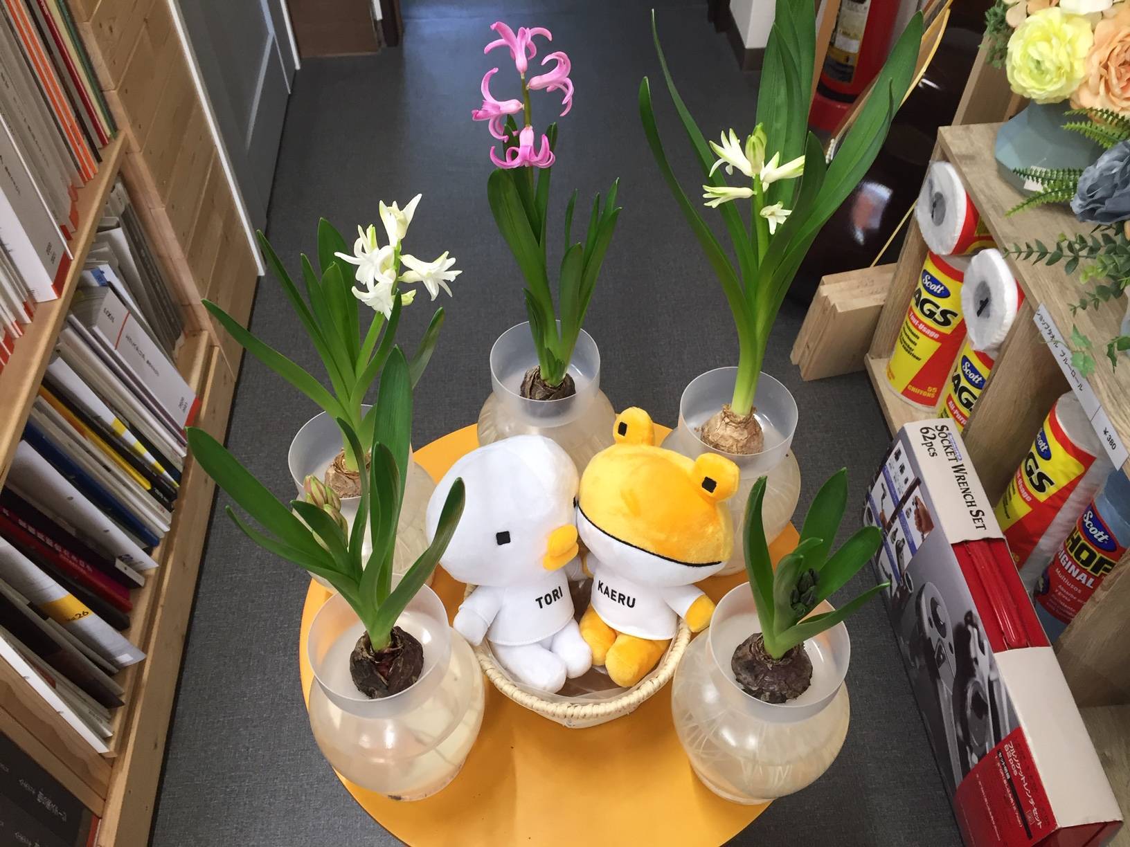 ヒヤシンスの花が咲いてきました！ 花と窓の店 HANAMADOのブログ 写真1