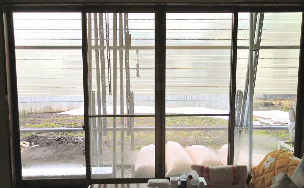 大木建装硝子の結露と寒さはさようなら！ネコちゃんも大喜び♡✧の施工前の写真1