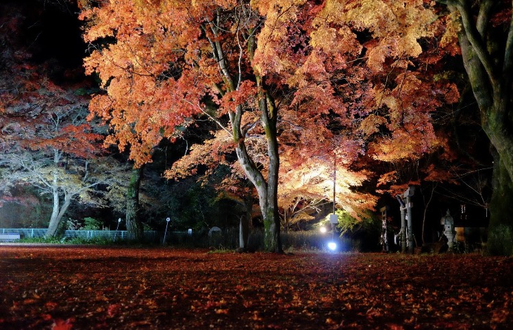 紅葉Ⅱ 飯田トーヨー住器のブログ 写真5