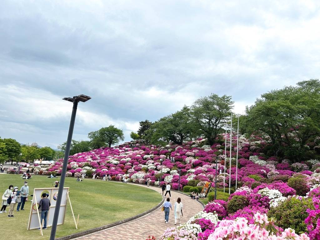 福井県がトレンド入りしてるんですって!!!① ミヤザキトーヨー住器のブログ 写真2