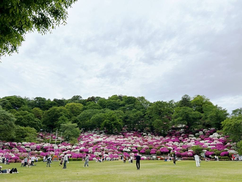 福井県がトレンド入りしてるんですって!!!① ミヤザキトーヨー住器のブログ 写真1