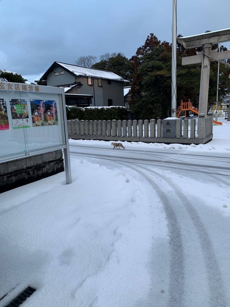 工エｴェｪ(´д｀)ｪェｴエ工書く事ない･･･ ミヤザキトーヨー住器のブログ 写真3