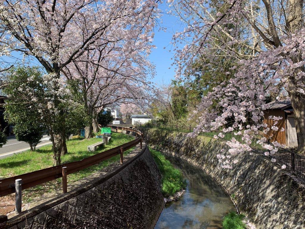 春って良いですね。 ミヤザキトーヨー住器のブログ 写真7