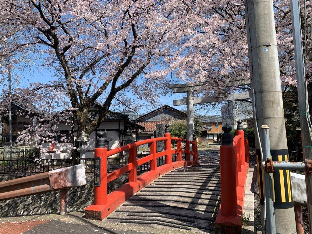 春って良いですね。 ミヤザキトーヨー住器のブログ 写真6