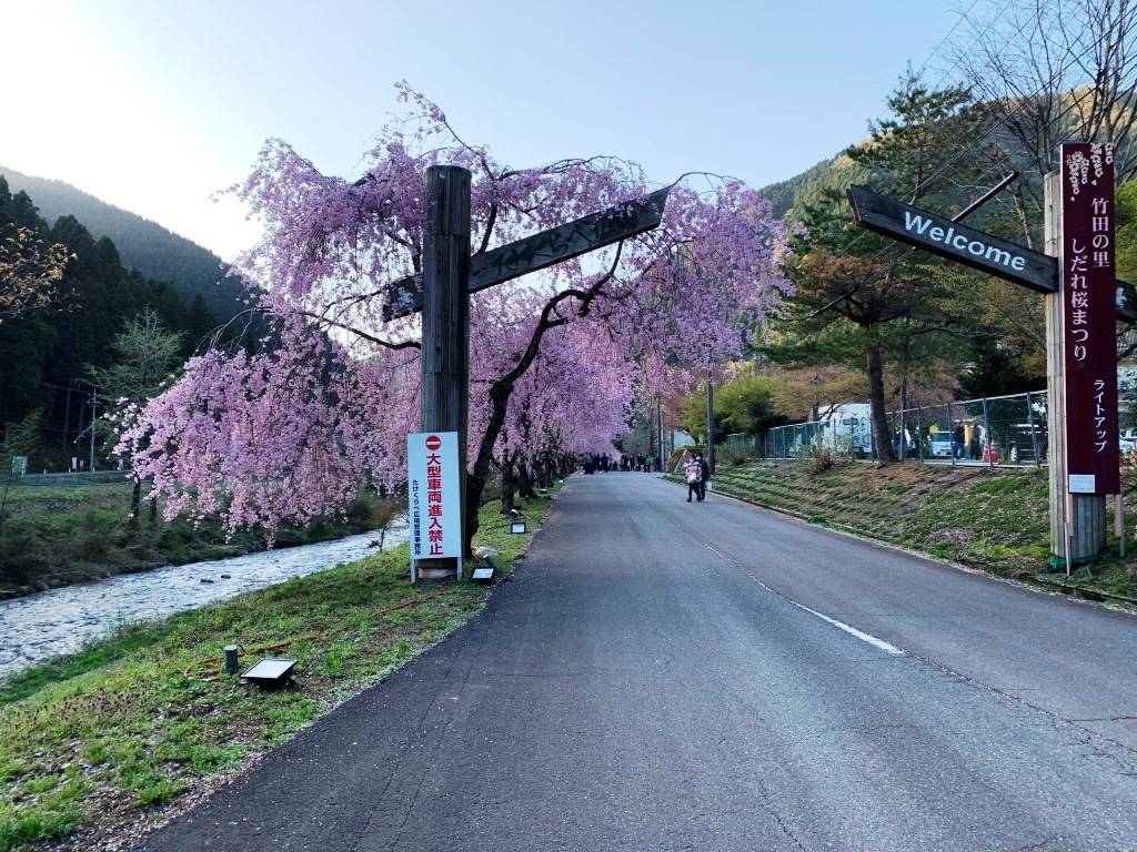 去年より1週間遅く、例年より2週間早い ミヤザキトーヨー住器のブログ 写真1