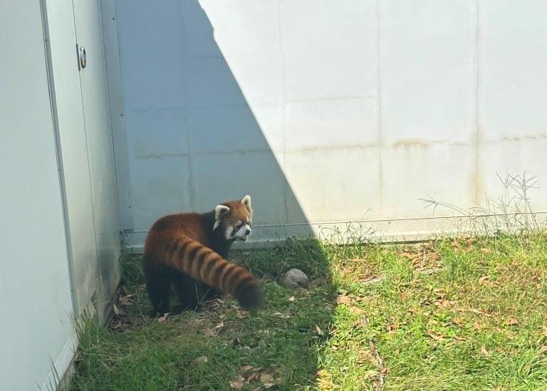 無料で良いの?! ミヤザキトーヨー住器のブログ 写真2