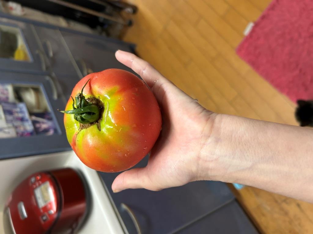 半夏生で焼き鯖頂きました ミヤザキトーヨー住器のブログ 写真7