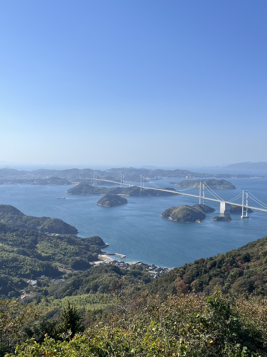 四国土産 ミヤザキトーヨー住器のブログ 写真8